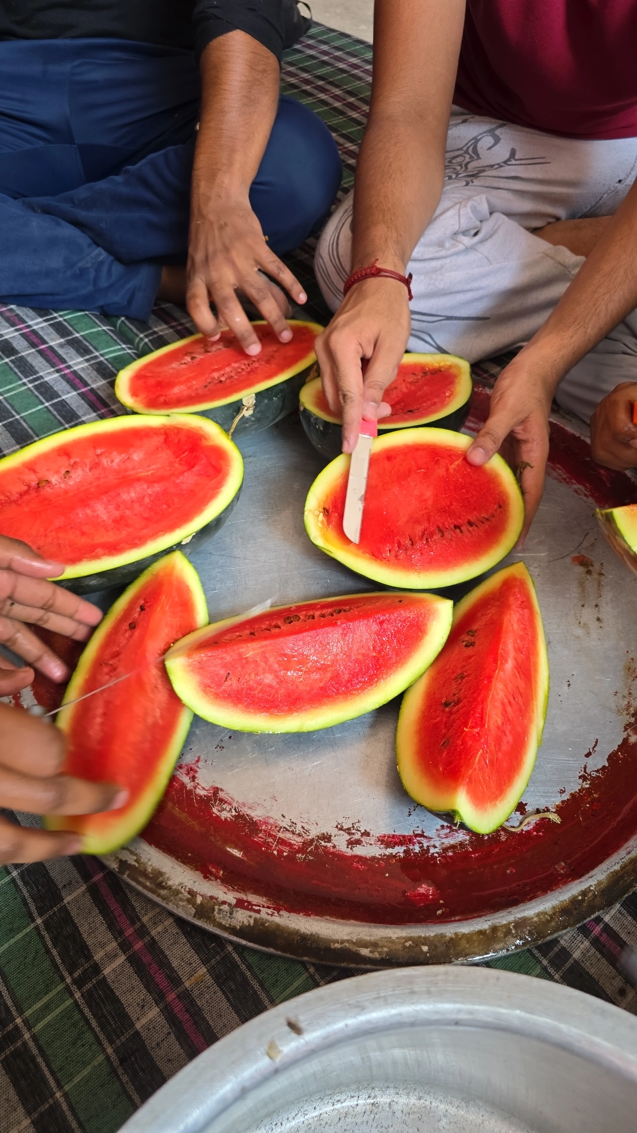 Fruit Distribution