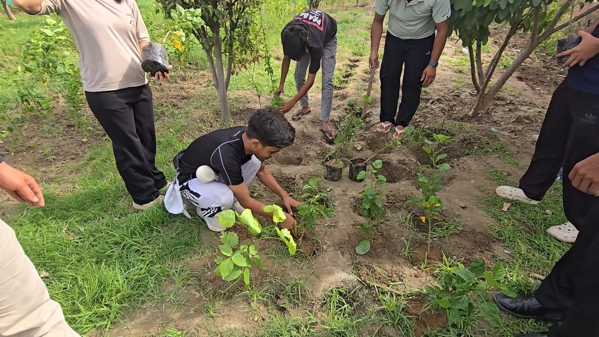 Plantation Drive