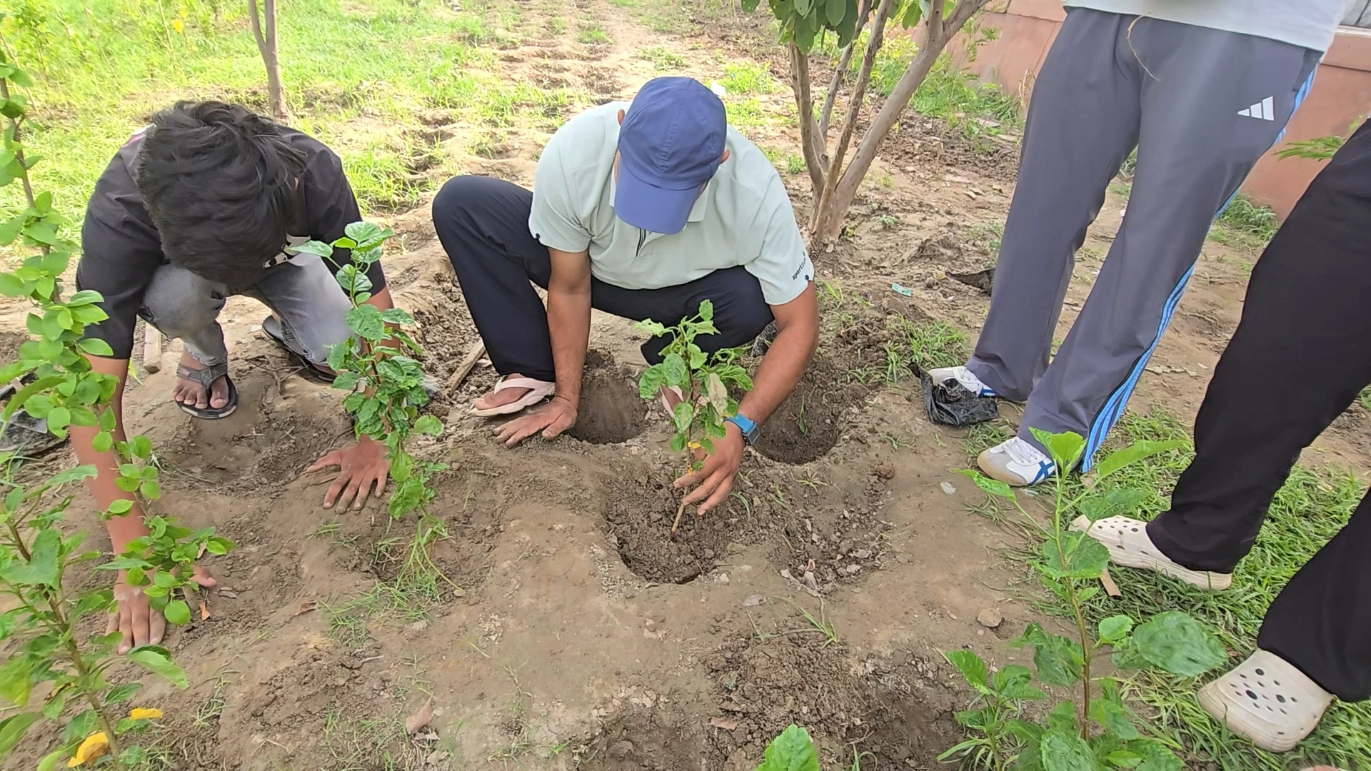 Plantation Drive