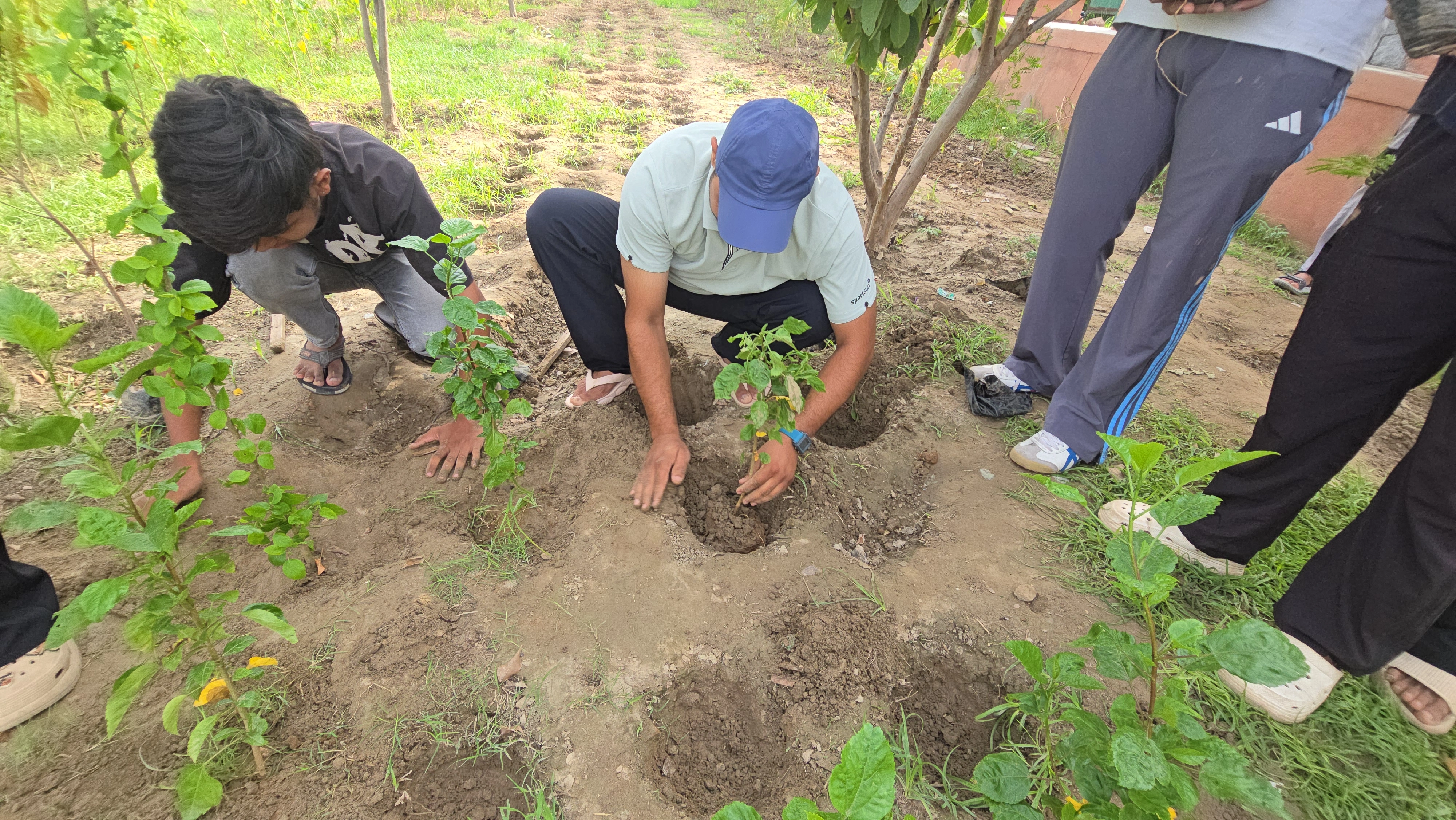 Plantation Drive