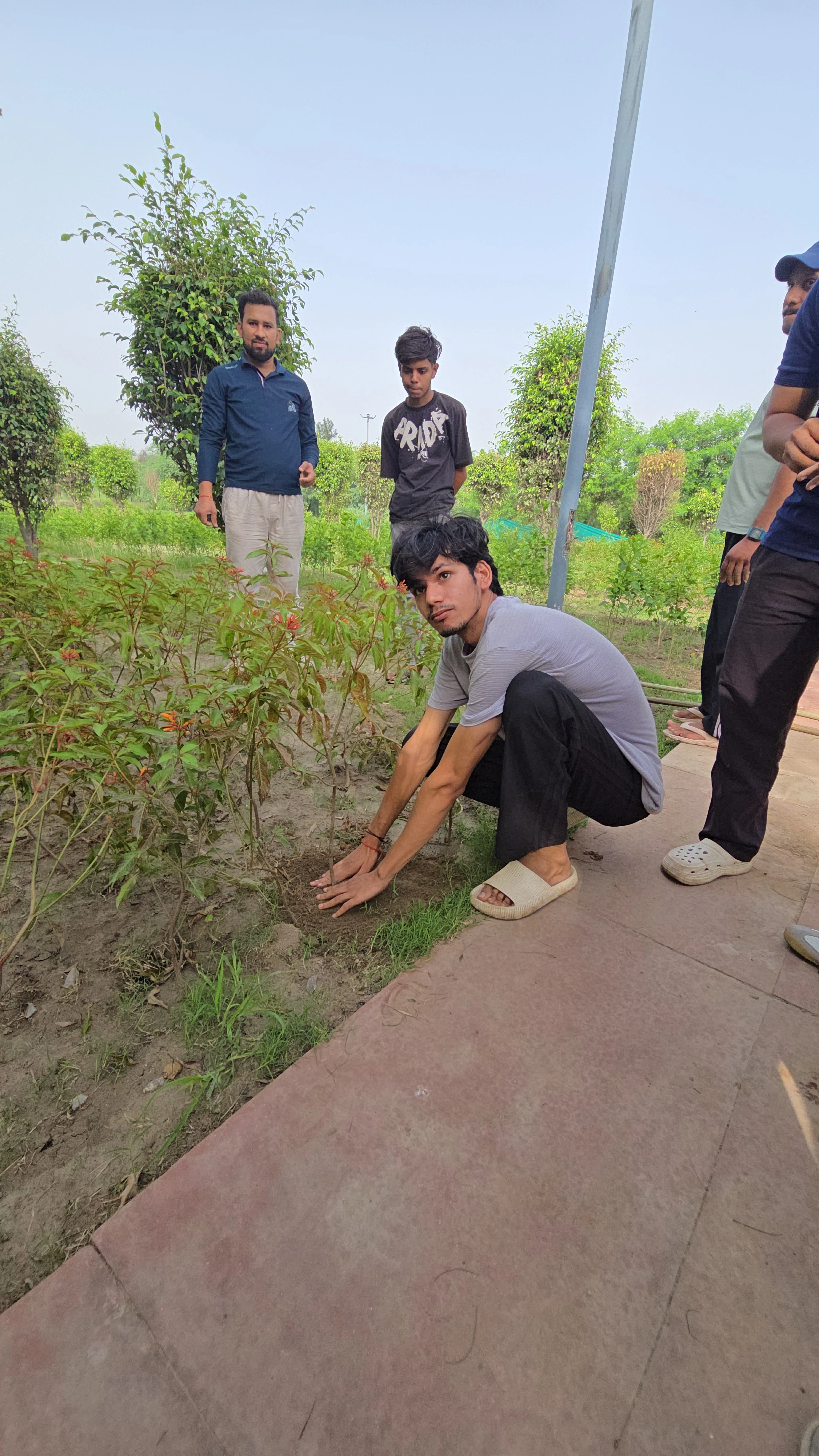 Plantation Drive